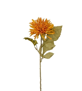 Chryssantemum gren 60 cm. - Orange 